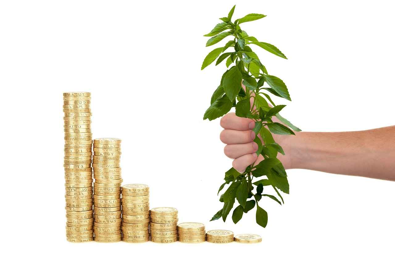 Preparing for the Loan Application Process
