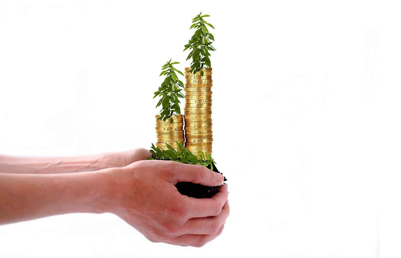 Utilizing Loan Forgiveness Programs