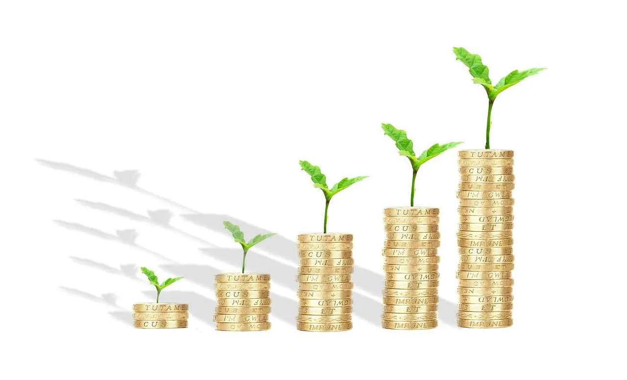 Common Challenges in the SBA Loan Process