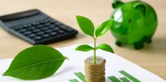 How Local Policies Are Shaping Crawley’s Green Financial Future How Local Policies Are Shaping Crawley’s Green Financial Future