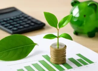 How Local Policies Are Shaping Crawley’s Green Financial Future How Local Policies Are Shaping Crawley’s Green Financial Future