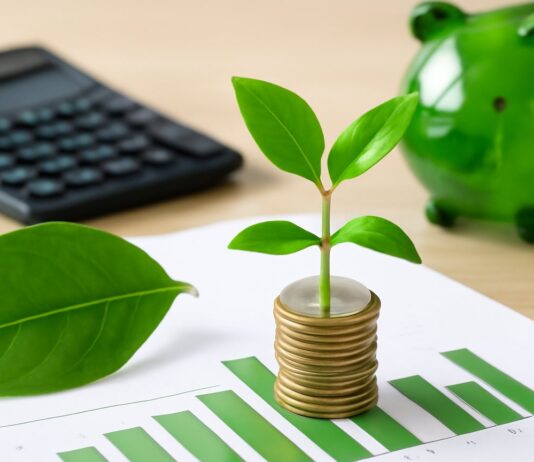 How Local Policies Are Shaping Crawley’s Green Financial Future How Local Policies Are Shaping Crawley’s Green Financial Future