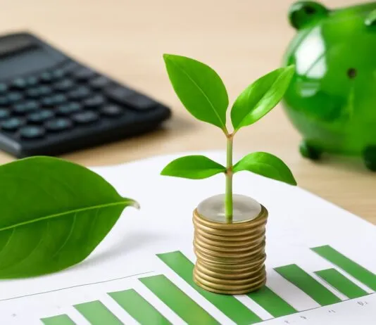 How Local Policies Are Shaping Crawley’s Green Financial Future How Local Policies Are Shaping Crawley’s Green Financial Future