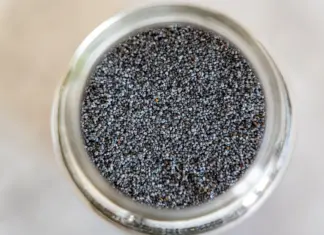 Unlocking Nature’s Secrets: How Chia Seed Byproducts Revitalize Soil Productivity Unlocking Nature's Secrets: How Chia Seed Byproducts Revitalize Soil Productivity finance